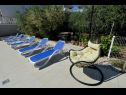 Apartmanok Olive Garden - swimming pool: A1(4), A2(4), A3(4), SA4(2), SA5(2) Biograd - Riviera Biograd  - kert