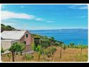 Házak a pihenésre Smokovlje - sea view and vineyard H(4) Bol - Brac sziget  - Horvátország  - H(4): ház
