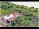 Házak a pihenésre Smokovlje - sea view and vineyard H(4) Bol - Brac sziget  - Horvátország  - részlet (ház és környéke)