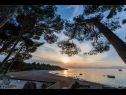 Házak a pihenésre Periska - on the beach : H(4+1) Mirca - Brac sziget  - Horvátország  - strand