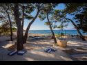 Házak a pihenésre Periska - on the beach : H(4+1) Mirca - Brac sziget  - Horvátország  - kilátás (ház és környéke)