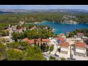 Apartmanok Dalis - open swimming pool: A1 kat(4+1), A2 prizemlje(4) Öböl Osibova (Milna) - Brac sziget  - Horvátország  - vegtáció (ház és környéke)