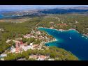 Apartmanok Dalis - open swimming pool: A1 kat(4+1), A2 prizemlje(4) Öböl Osibova (Milna) - Brac sziget  - Horvátország  - vegtáció (ház és környéke)