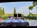 Házak a pihenésre Viki - sea view terrace: H(4+1) Postira - Brac sziget  - Horvátország  - H(4+1): terasz