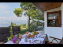 Házak a pihenésre Viki - sea view terrace: H(4+1) Postira - Brac sziget  - Horvátország  - terasz