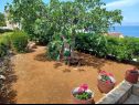 Házak a pihenésre Lumos - panoramic view & olive garden: H(10) Postira - Brac sziget  - Horvátország  - kert
