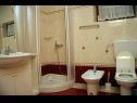 Apartmanok DeMar - 70m from sea: A1-crveni(4), A2-zeleni(3), A3-plavi(3) Splitska - Brac sziget  - Apartman - A1-crveni(4): fürdőszoba toalettel