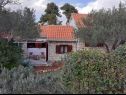Házak a pihenésre Olive - 150 m from sea: H(4) Splitska - Brac sziget  - Horvátország  - ház