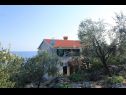 Apartmanok Iva - with nice view: A1(2+2) Molunat - Riviera Dubrovnik  - ház