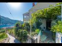 Apartmanok Gordana A1(4) Zaton (Dubrovnik) - Riviera Dubrovnik  - udvar