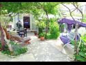 Házak a pihenésre Zeljko - with nice garden: H(5) Sucuraj - Hvar sziget  - Horvátország  - ház
