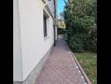 Apartmanok Ena - with free private parking: A1 Anthea (2+2), A2 Floki (2+2) Rovinj - Isztrián  - kert