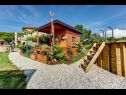 Házak a pihenésre Barbara - perfect holiday: H(5) Umag - Isztrián  - Horvátország  - udvar (ház és környéke)