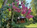 Házak a pihenésre Riverside house - beautiful nature: H(6) Zumberak - Kontinentális Horvátország - Horvátország  - virág