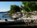 Apartmanok Mari - amazing sea view: A1(4), A2(4) Öböl Karbuni (Blato) - Korcula sziget  - Horvátország  - strand