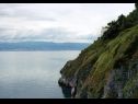 Házak a pihenésre Bernardica - on cliffs above sea: H(6+2) Vrbnik - Krk sziget  - Horvátország  - vegtáció