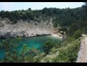 Házak a pihenésre Bernardica - on cliffs above sea: H(6+2) Vrbnik - Krk sziget  - Horvátország  - vegtáció