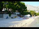 Apartmanok Toni - 150m from pebble beach: A1 veliki (5) Baska Voda - Riviera Makarska  - strand