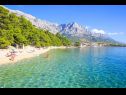 Apartmanok Toni - 150m from pebble beach: A1 veliki (5) Baska Voda - Riviera Makarska  - részlet