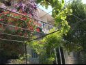 Apartmanok Secret garden - seaview: A1(4), A2(2) Brela - Riviera Makarska  - ház