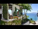 Apartmanok Sea View - cosy & comfortable: A2 Zaborke(4), A4 Somina(2+2) Brist - Riviera Makarska  - ház
