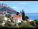 Apartmanok Jure - terrace with amazing sea view: A1 Leona (6+2), A2 Ivano (6+2) Brist - Riviera Makarska  - vegtáció (ház és környéke)