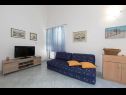 Apartmanok Blue - 100 m from beach: A1(3+1) Igrane - Riviera Makarska  - Apartman - A1(3+1): nappali