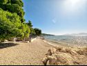 Apartmanok Tomo - 10 m from beach: A1(2+2), SA2(2) Zaostrog - Riviera Makarska  - strand