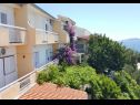 Apartmanok Nina - sea view family apartments SA1A(3), A1Donji(2+1), A3(6), A4(4+1), A5(6), A6(4) Celina Zavode - Riviera Omis  - ház