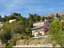 Apartmanok Mari - 40 m from sea: A1(4), A2(2+2), SA3(2) Krilo Jesenice - Riviera Omis  - részlet (ház és környéke)
