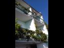 Apartmanok Zorica - with view: A1(4+1), SA2(2+1), SA3(2+1), SA4(2+1), A5(10+1) Marusici - Riviera Omis  - ház