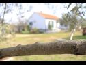 Házak a pihenésre Pavica K H(5) Pasman - Pasman sziget  - Horvátország  - H(5): részlet (ház és környéke)