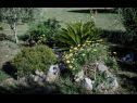 Apartmanok Mig - with beautiful garden: A1(2+1), A3(4+1), A4(4+1) Supetarska Draga - Rab sziget  - részlet