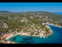 Házak a pihenésre Villa Ante - with pool: H(6) Rogac - Solta sziget  - Horvátország  - vegtáció (ház és környéke)