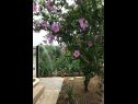 Apartmanok Damir - with garden: A1(6) Kastel Stafilic - Riviera Split  - kert