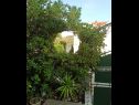 Házak a pihenésre Villa Linda - big terraces: H(5+2) Seget Vranjica - Riviera Trogir  - Horvátország  - udvar