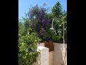 Apartmanok Josip - 5 m from beach: A1(6) Vinisce - Riviera Trogir  - részlet
