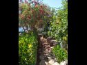 Apartmanok Josip - 5 m from beach: A1(6) Vinisce - Riviera Trogir  - kert