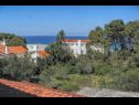 Apartmanok MiMa - 150 m from the beach: A1(2+2), A3(5), A2(2+2) Susica - Ugljan sziget  - kilátás a tengerre (ház és környéke)