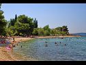 Apartmanok Julija - big terrace and grill A1 Asy(4) Bibinje - Riviera Zadar  - strand