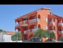 Apartmanok Sor - on the beach: SA1(2+1), A1(4+1), A2(2+2), A3(2+2) Bibinje - Riviera Zadar  - ház