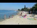 Apartmanok Sor - on the beach: SA1(2+1), A1(4+1), A2(2+2), A3(2+2) Bibinje - Riviera Zadar  - strand