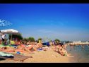 Apartmanok Fuzi - 50 m from sea: A1(2+1), SA4(2) Bibinje - Riviera Zadar  - strand