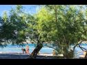 Apartmanok Niko - 40m from the beach: A1(2+2), A2(3+2), A3(4+2) Donji Karin - Riviera Zadar  - strand