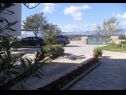 Apartmanok Blue Skies - 30 m from the sea: A1(4+1), A2(2+2), SA3(2+1) Ljubac - Riviera Zadar  - udvar