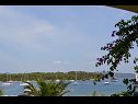 Apartmanok Davor - 20m from sea : A1(2+2), A2(2+2), A3(6) Mali Iz (Iz sziget) - Riviera Zadar  - kilátás