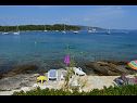 Apartmanok Davor - 20m from sea : A1(2+2), A2(2+2), A3(6) Mali Iz (Iz sziget) - Riviera Zadar  - strand