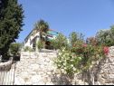 Apartmanok Vlatkica - 10 m from beach: A1 Vlatkica(4), A2 Lea(4) Maslenica - Riviera Zadar  - ház