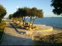 Apartmanok Mis - apartments close to sea: A1(4), A2(4) Petrcane - Riviera Zadar  - strand