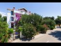 Apartmanok Pupa - nice family apartments: A1 Dora(4+1), A2 Mihael(4+1), A3 Tea(2+1) Petrcane - Riviera Zadar  - ház